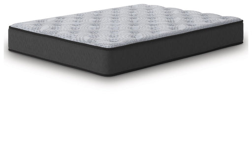 Comfort Plus - Mattress - Tallahassee Discount Furniture (FL)