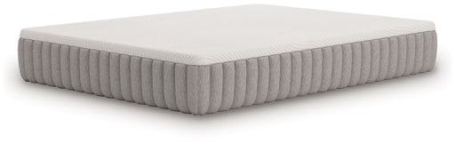 Terra Sleep Firm - Mattress - Tallahassee Discount Furniture (FL)