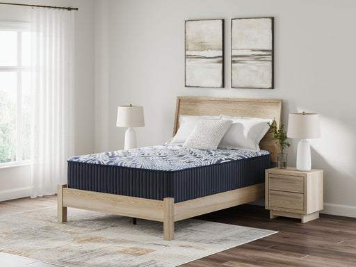 Firm Luxe 2.0 - Mattress - Tallahassee Discount Furniture (FL)