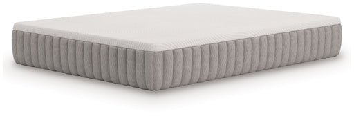 Terra Sleep Medium - Mattress - Tallahassee Discount Furniture (FL)