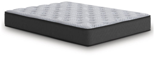 Comfort Plus - Mattress - Tallahassee Discount Furniture (FL)