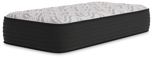 Elite Springs Plush - Mattress - Tallahassee Discount Furniture (FL)