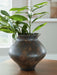 Laddlow - Vase - Antique Brown - Tallahassee Discount Furniture (FL)