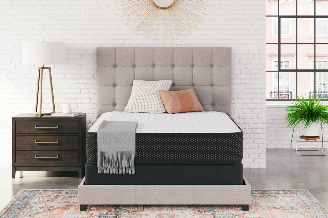 Limited Edition Firm - Mattress - Tallahassee Discount Furniture (FL)