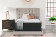 Limited Edition Firm - Mattress - Tallahassee Discount Furniture (FL)