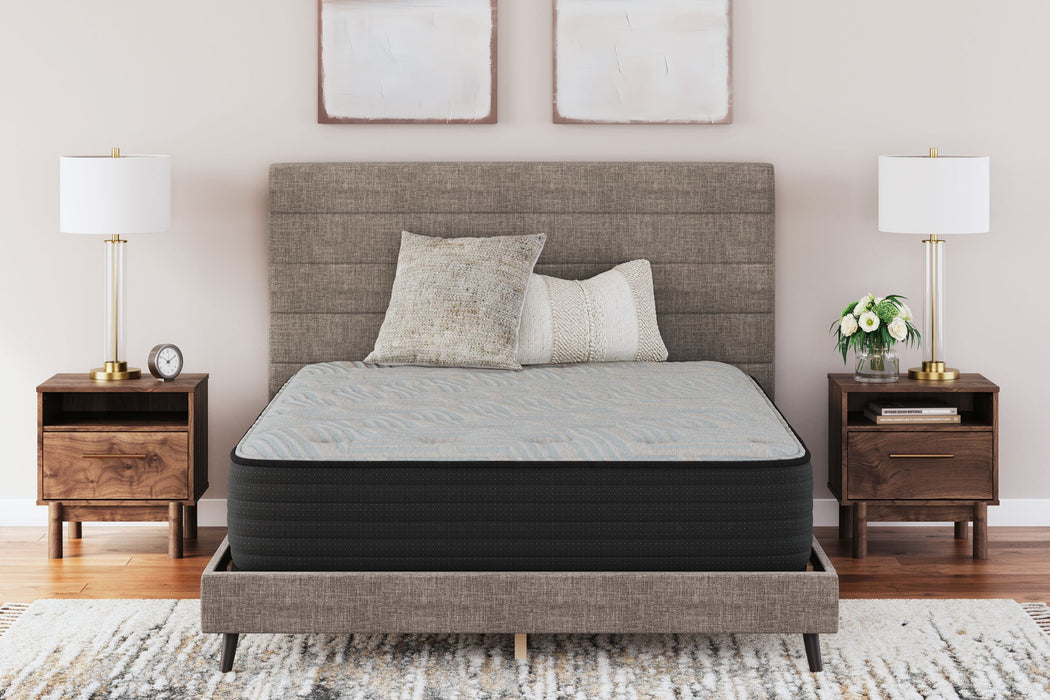 Palisades Plush - Mattress - Tallahassee Discount Furniture (FL)