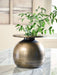 Fedorleigh - Vase - Tallahassee Discount Furniture (FL)