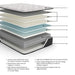 Elite Springs Plush - Mattress - Tallahassee Discount Furniture (FL)