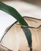 Ewart - Vase - Tallahassee Discount Furniture (FL)