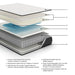 Limited Edition Firm - Mattress - Tallahassee Discount Furniture (FL)