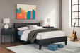 Socalle - Panel Platform Bed - Tallahassee Discount Furniture (FL)