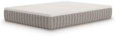 Terra Sleep Medium - Mattress - Tallahassee Discount Furniture (FL)