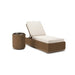 Alabaster - Chaise Lounge With Cushion - Tallahassee Discount Furniture (FL)