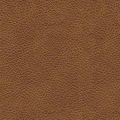 Carianna Oversized Chair - Tallahassee Discount Furniture (FL)