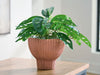 Orban - Vase - Sienna / White - Tallahassee Discount Furniture (FL)