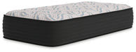 Elite Springs Plush - Mattress - Tallahassee Discount Furniture (FL)