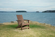 Emmeline - Brown - Adirondack Chair - Tallahassee Discount Furniture (FL)