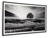 Deborland - Wall Art - Black / White - Tallahassee Discount Furniture (FL)