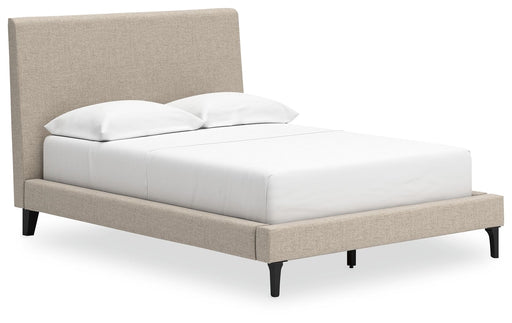Cielden - Upholstered Bed With Roll Slats - Tallahassee Discount Furniture (FL)