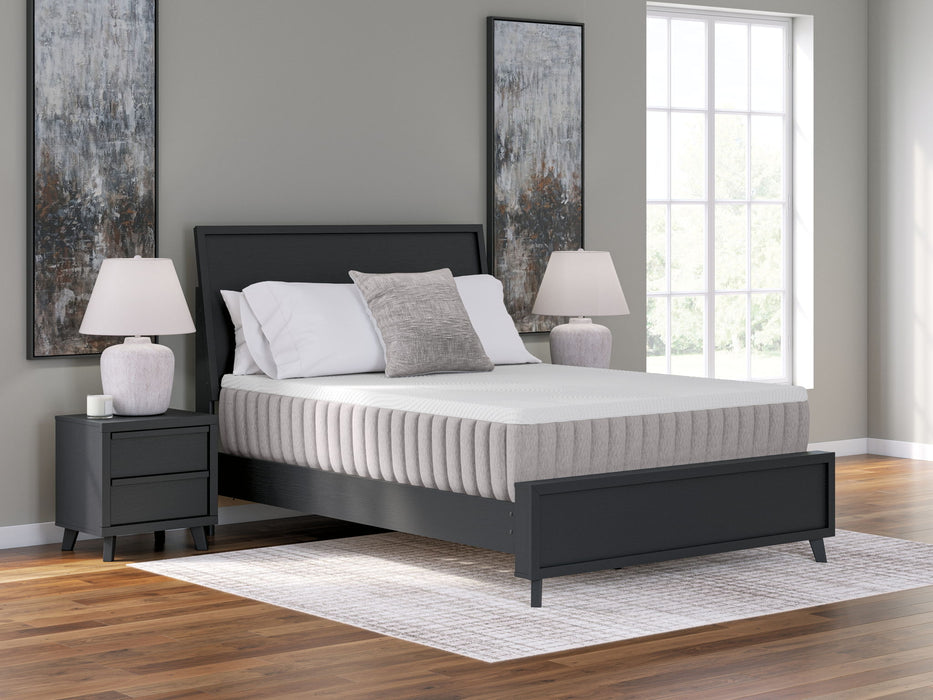 Terra Sleep Soft - Mattress - Tallahassee Discount Furniture (FL)