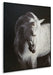 Archerwick - Black / White - Wall Art - Tallahassee Discount Furniture (FL)