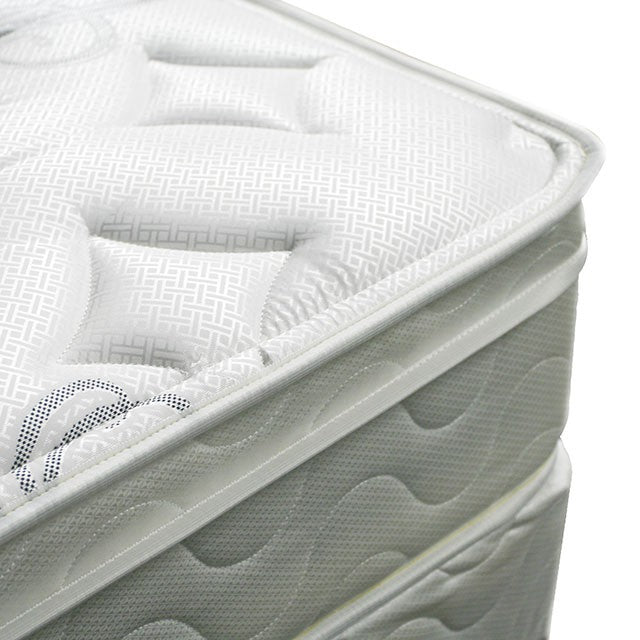 JALEN White 9" Euro Top Mattress, Queen - Tallahassee Discount Furniture (FL)