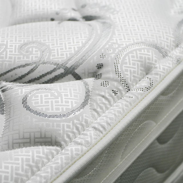 JALEN White 9" Euro Top Mattress, Queen - Tallahassee Discount Furniture (FL)