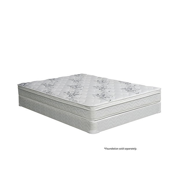 JALEN White 9" Euro Top Mattress, Queen - Tallahassee Discount Furniture (FL)