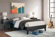 Socalle - Platform Bed - Tallahassee Discount Furniture (FL)