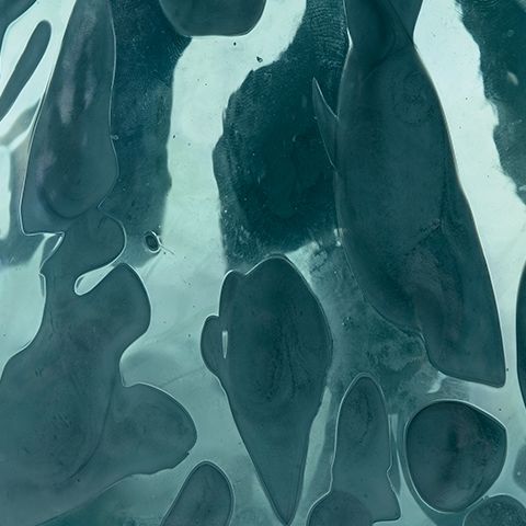 Cartshaw - Vase - Tallahassee Discount Furniture (FL)