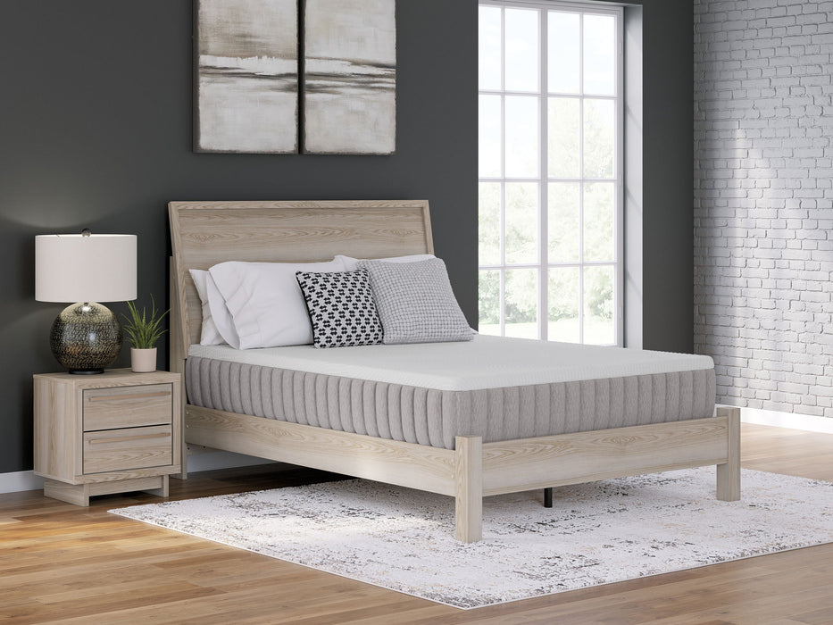 Terra Sleep Medium - Mattress - Tallahassee Discount Furniture (FL)