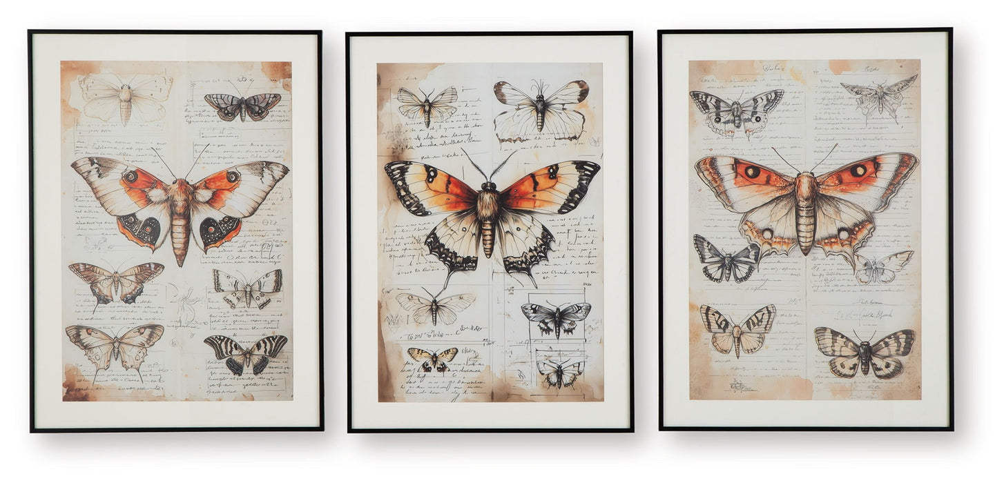 Jossletts - Orange / Black / Ivory - Wall Art Set (Set of 3) - Tallahassee Discount Furniture (FL)